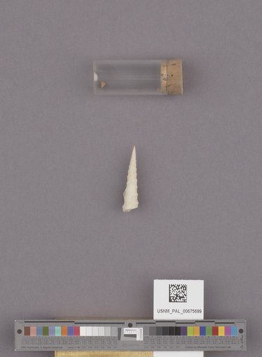 NSF ADBC EPICC TCN