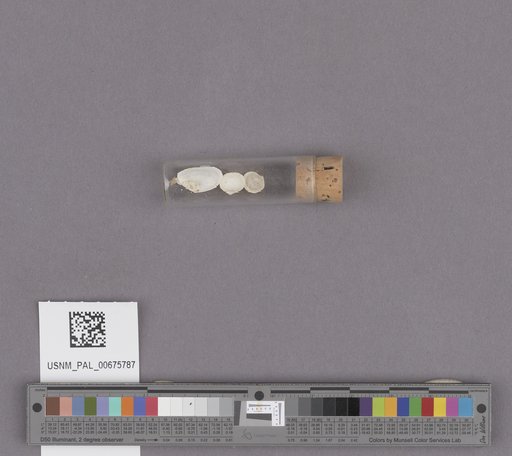 NSF ADBC EPICC TCN