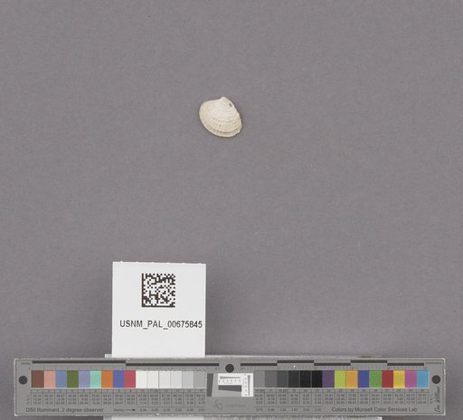 NSF ADBC EPICC TCN