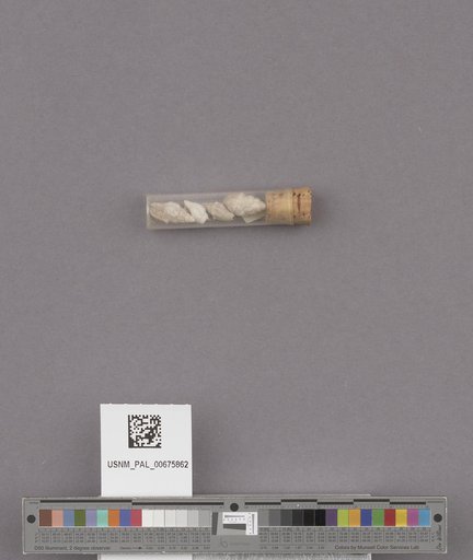 NSF ADBC EPICC TCN