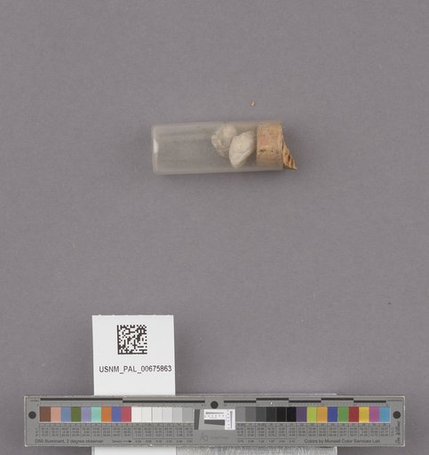 NSF ADBC EPICC TCN