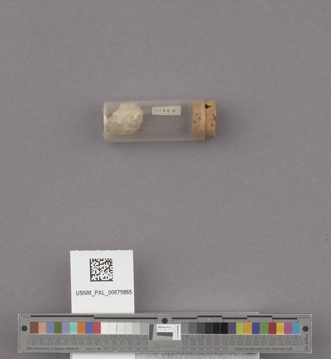 NSF ADBC EPICC TCN