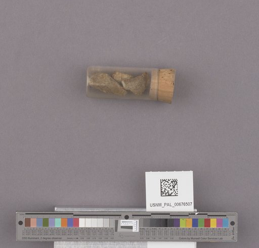 NSF ADBC EPICC TCN