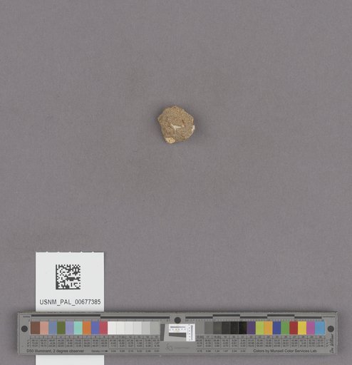 NSF ADBC EPICC TCN