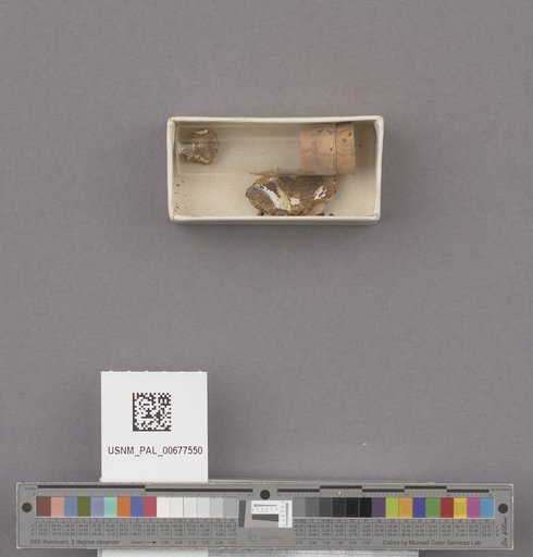 NSF ADBC EPICC TCN