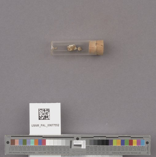 NSF ADBC EPICC TCN