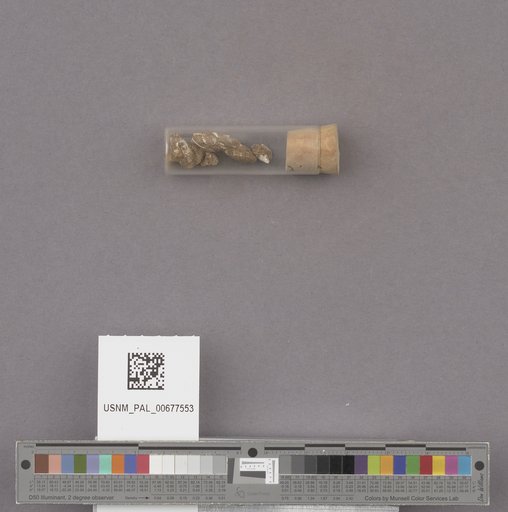 NSF ADBC EPICC TCN