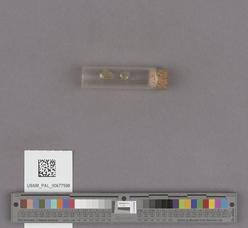 NSF ADBC EPICC TCN