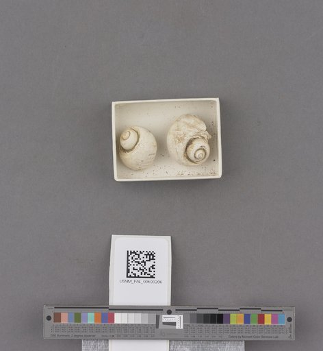 NSF ADBC EPICC TCN