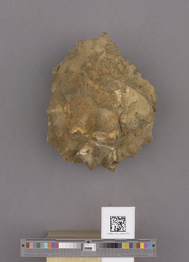 NSF ADBC EPICC TCN