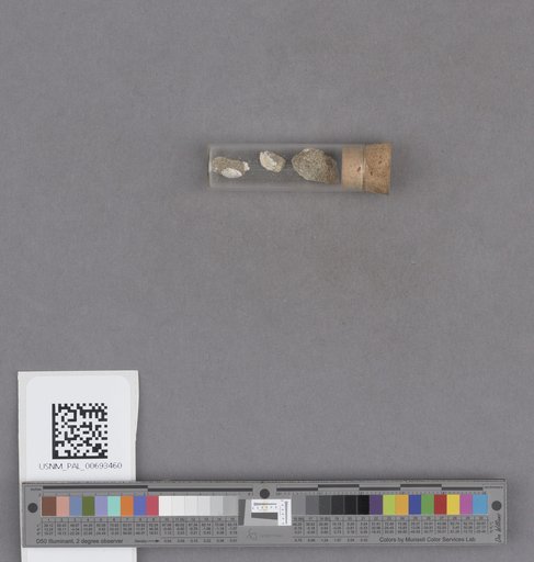 NSF ADBC EPICC TCN