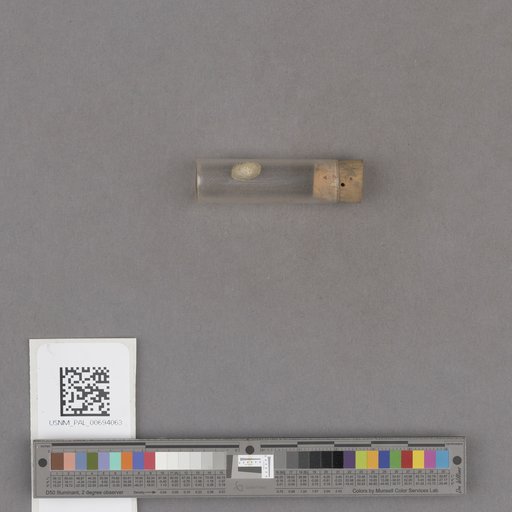 NSF ADBC EPICC TCN