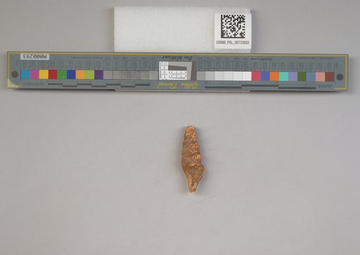 NSF ADBC EPICC TCN
