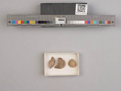 NSF ADBC EPICC TCN