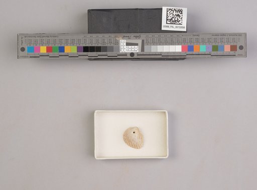 NSF ADBC EPICC TCN