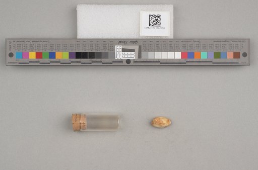 NSF ADBC EPICC TCN