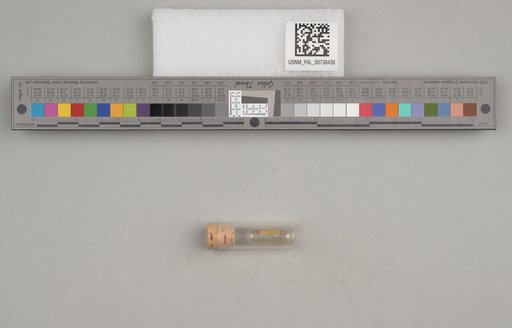 NSF ADBC EPICC TCN
