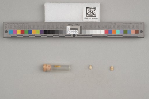 NSF ADBC EPICC TCN