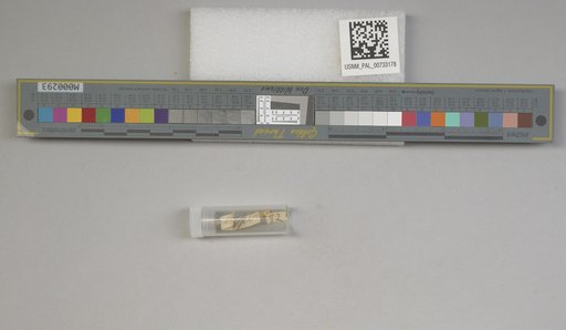 NSF ADBC EPICC TCN