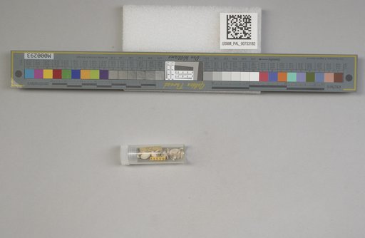 NSF ADBC EPICC TCN