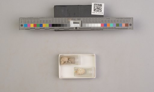 NSF ADBC EPICC TCN