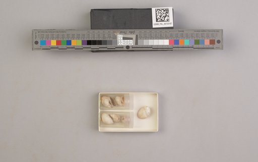 NSF ADBC EPICC TCN