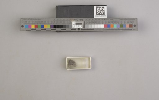 NSF ADBC EPICC TCN