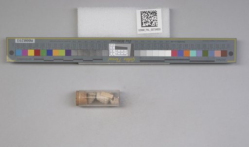 NSF ADBC EPICC TCN