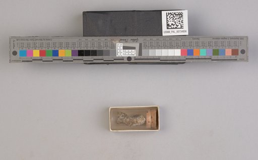 NSF ADBC EPICC TCN
