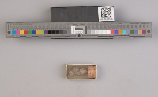 NSF ADBC EPICC TCN