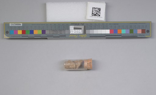 NSF ADBC EPICC TCN