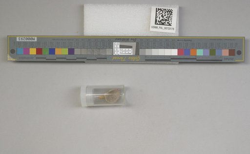 NSF ADBC EPICC TCN