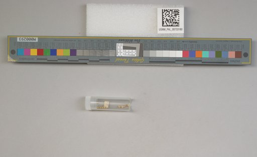 NSF ADBC EPICC TCN