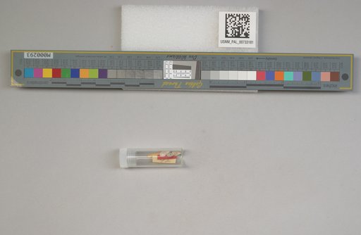 NSF ADBC EPICC TCN