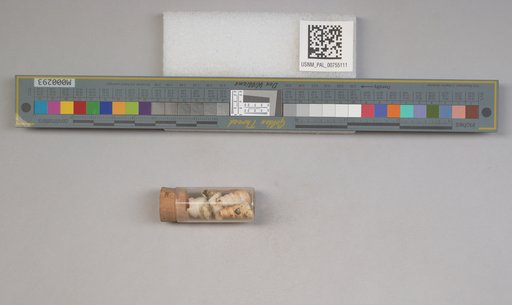 NSF ADBC EPICC TCN