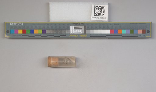 NSF ADBC EPICC TCN