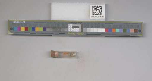 NSF ADBC EPICC TCN