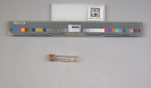 NSF ADBC EPICC TCN