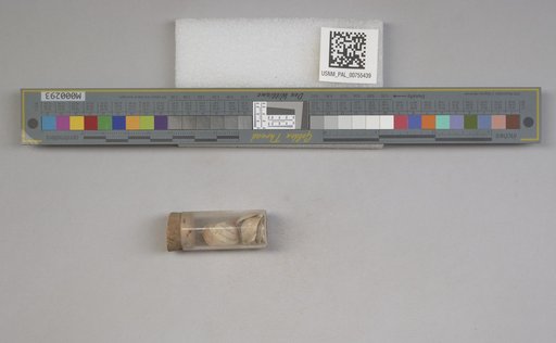 NSF ADBC EPICC TCN