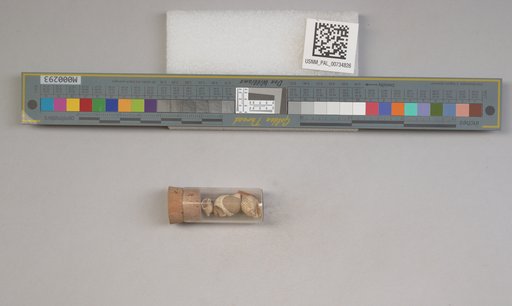 NSF ADBC EPICC TCN