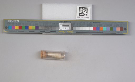 NSF ADBC EPICC TCN