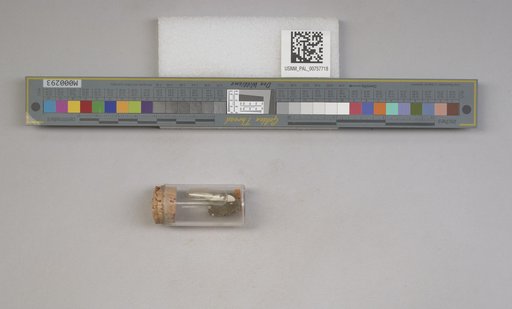 NSF ADBC EPICC TCN