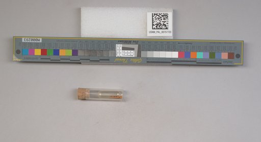 NSF ADBC EPICC TCN