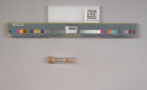 NSF ADBC EPICC TCN