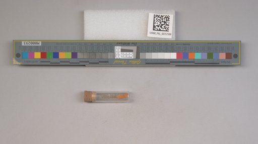 NSF ADBC EPICC TCN
