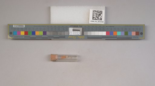 NSF ADBC EPICC TCN