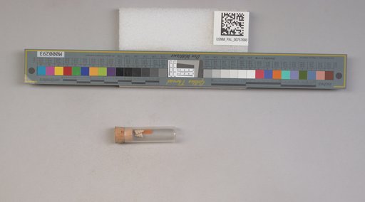 NSF ADBC EPICC TCN