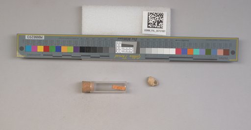 NSF ADBC EPICC TCN