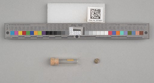 NSF ADBC EPICC TCN