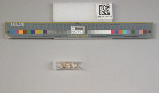 NSF ADBC EPICC TCN